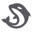 Orca